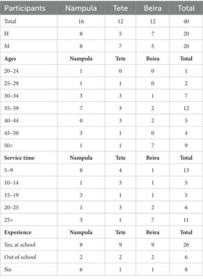 School inclusion of children with disabilities in Mozambique: The teachers’ perspective